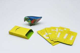 喜鵲35周年 無界設(shè)計(jì)，翱翔于平面與包裝之間的創(chuàng)新美學(xué)